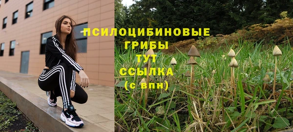 шишки Магадан