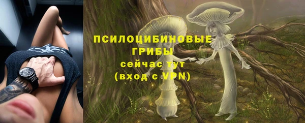 каннабис Медвежьегорск