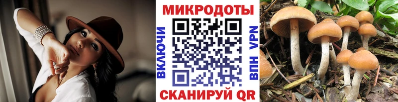 наркота  Асбест  Псилоцибиновые грибы Psilocybe 
