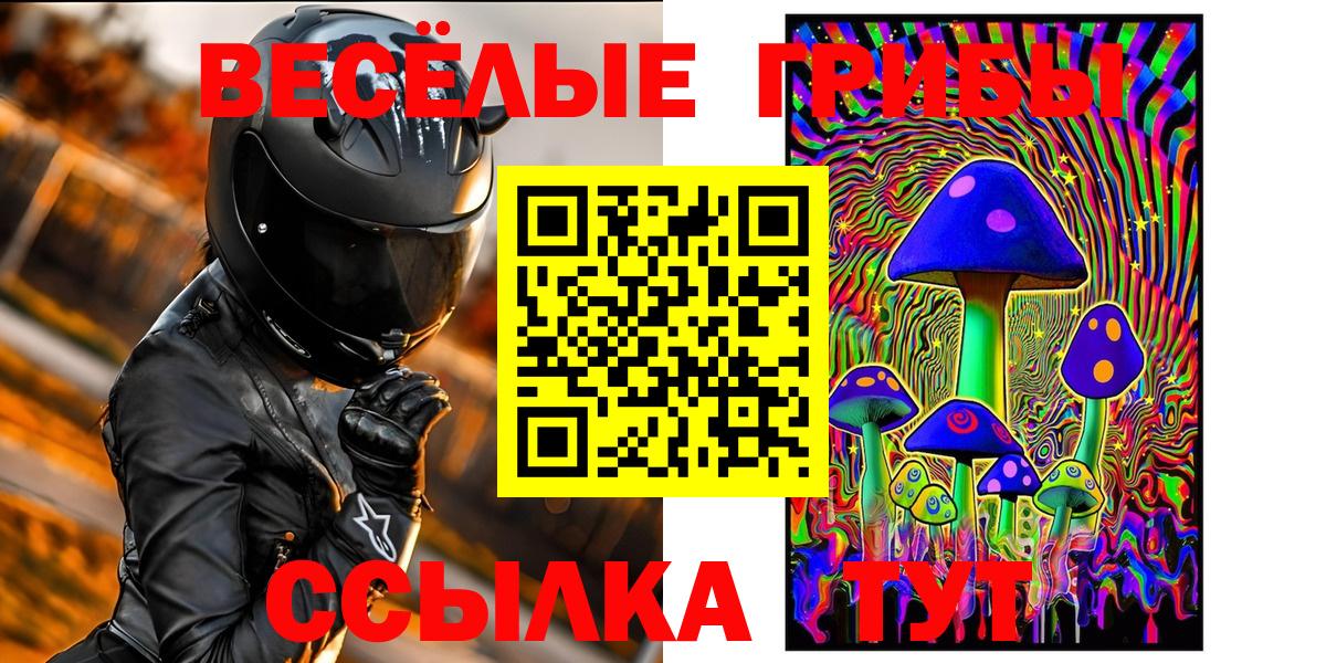 Псилоцибиновые грибы мицелий Асбест