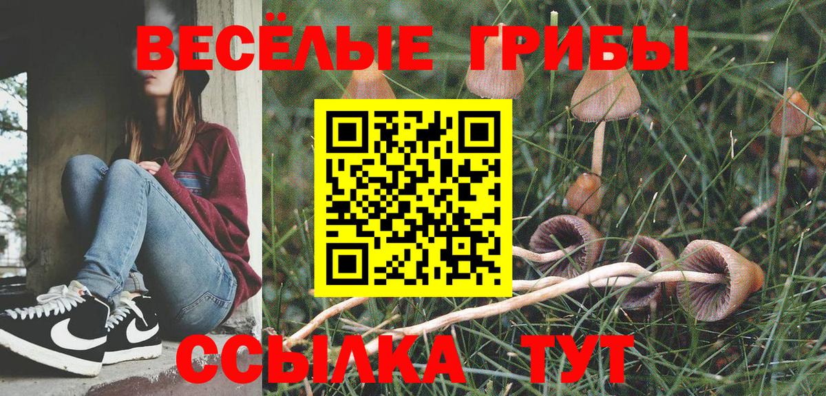 Галлюциногенные грибы Cubensis  Галлюциногенные грибы Psilocybe  Асбест 