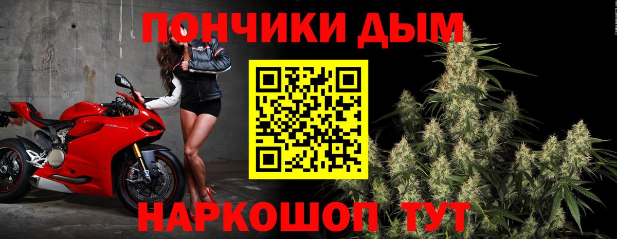 Бошки марихуана Bruce Banner  Шишки марихуана семена  Канабис ГИДРОПОН  Асбест 